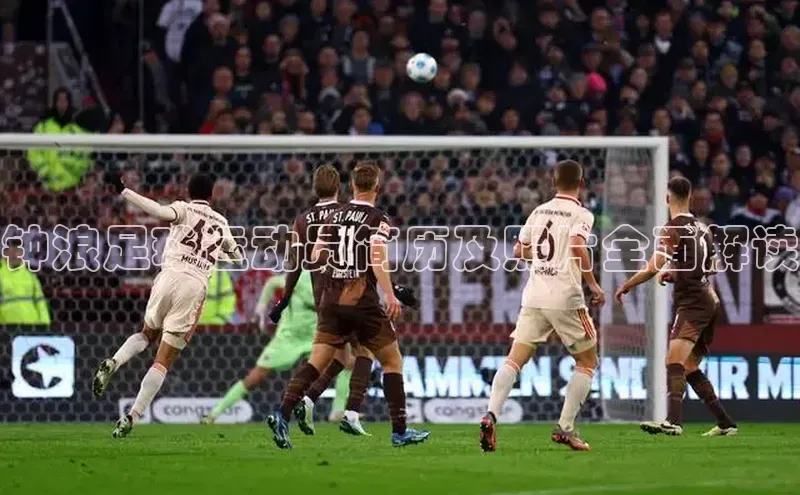 星欧官方网站登录入口度小满支付钟浪足球运动员简历及照片全面解读