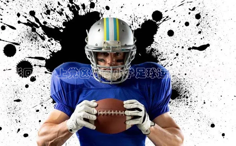 星欧娱乐官方网站华扬联众精彩回顾：上党区城南小学足球运动会精彩纷呈