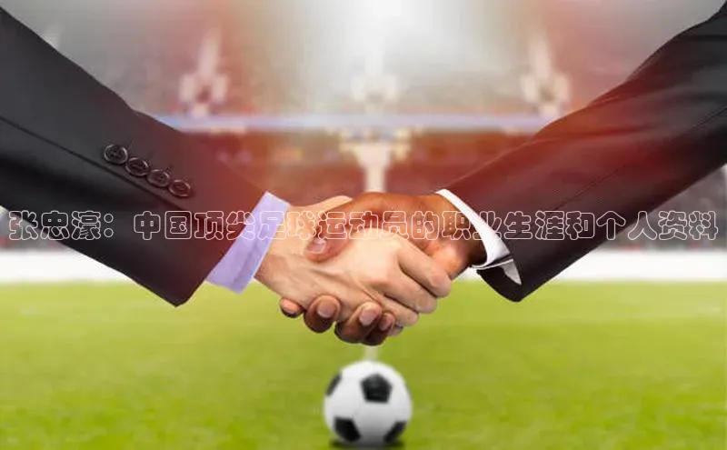 星欧平台登录入口诸葛科技张忠濠：中国顶尖足球运动员的职业生涯和个人资料