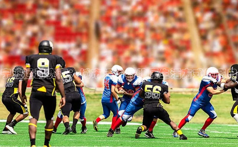 星欧平台点登录入口轻美电器宁波运动赛事：城市活力与健康生活方式的窗口