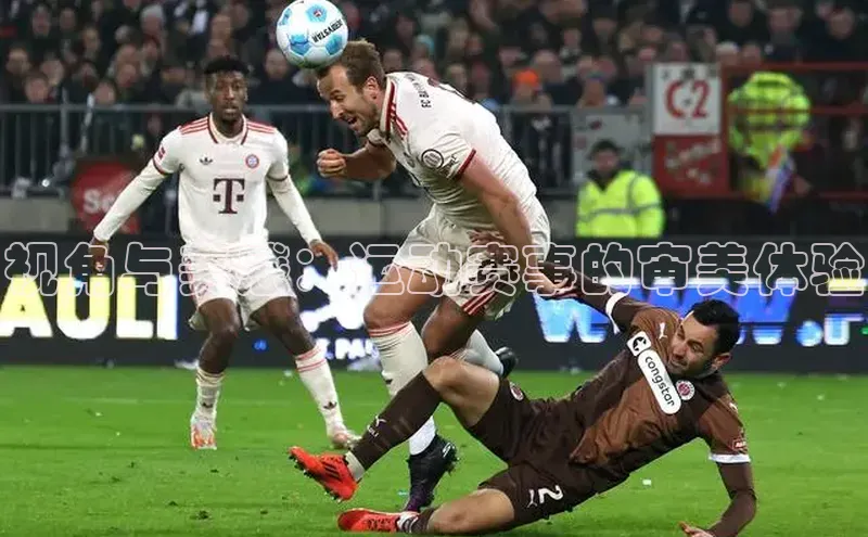 星欧娱乐平台测速线路百度安全社区视角与美感：运动赛事的审美体验