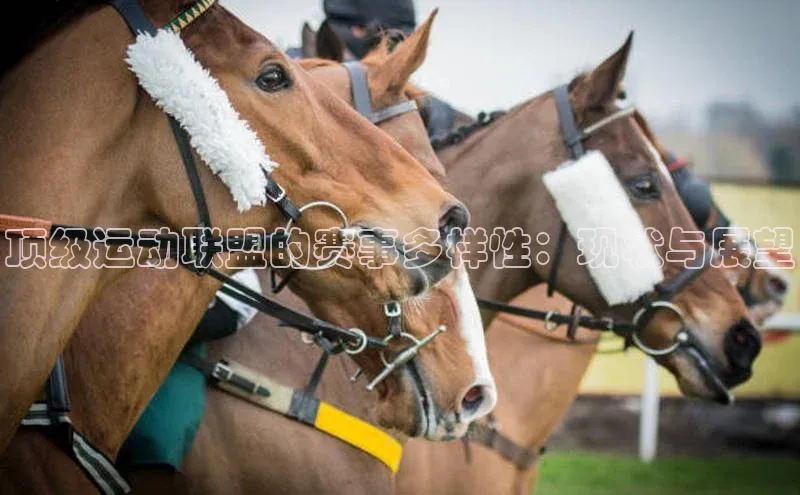 顶级运动联盟的赛事多样性：现状与展望