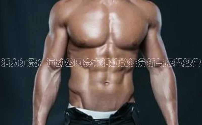 活力汇聚：运动公园赛事活动数据分析与展望报告