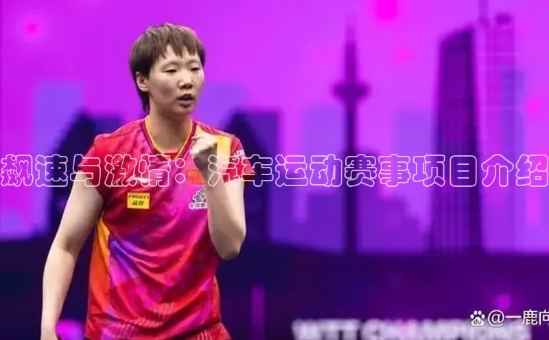 飙速与激情：汽车运动赛事项目介绍