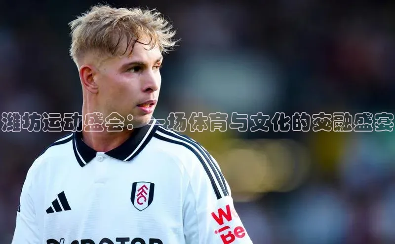 潍坊运动盛会：一场体育与文化的交融盛宴