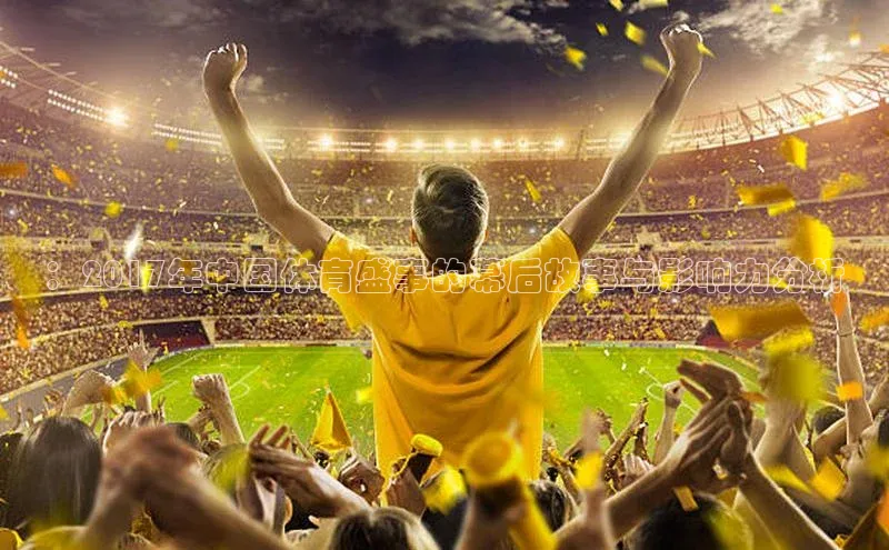 ：2017年中国体育盛事的幕后故事与影响力分析