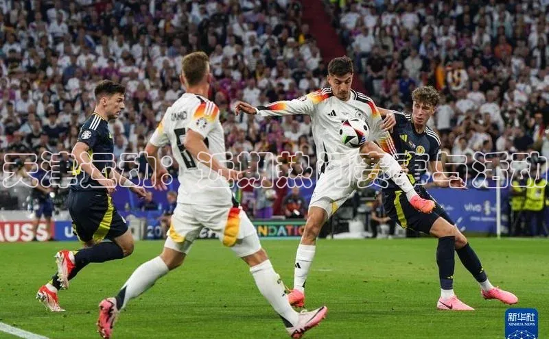 天津运动：近期热门赛事与活动