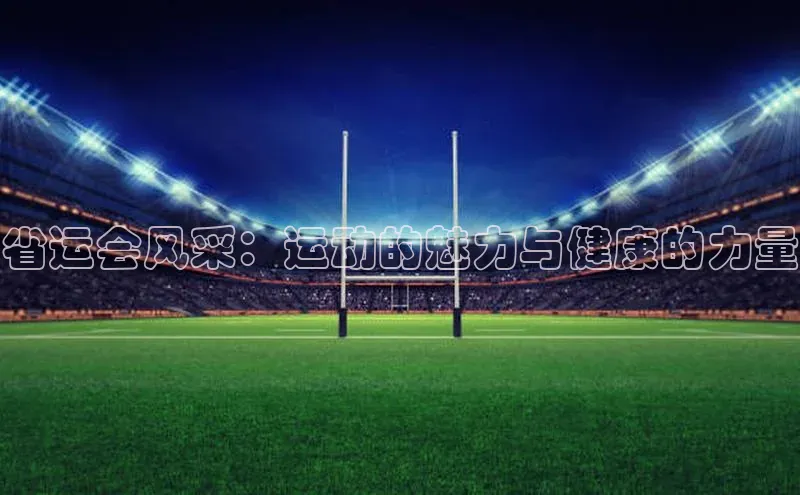 省运会风采：运动的魅力与健康的力量