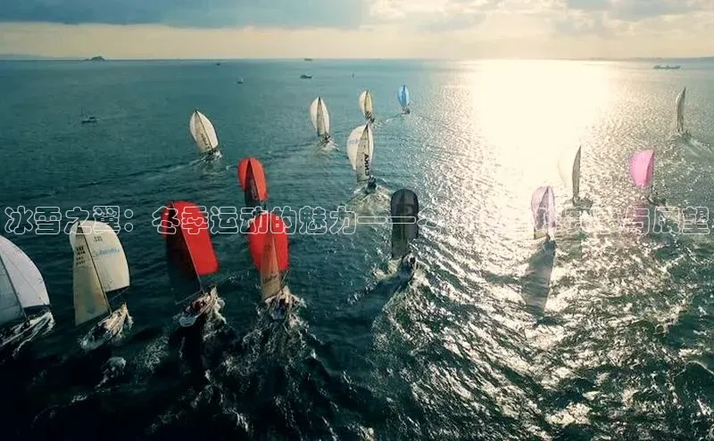 冰雪之翼：冬季运动的魅力——冬奥会冰球赛事与展望