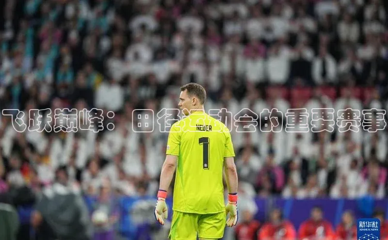 飞跃巅峰：田径运动会的重要赛事