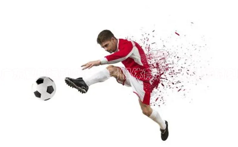 广东夏日运动盛宴：暑假体育活动的精彩时刻