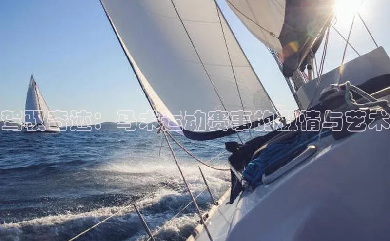 驾驭奇迹：马术运动赛事的激情与艺术