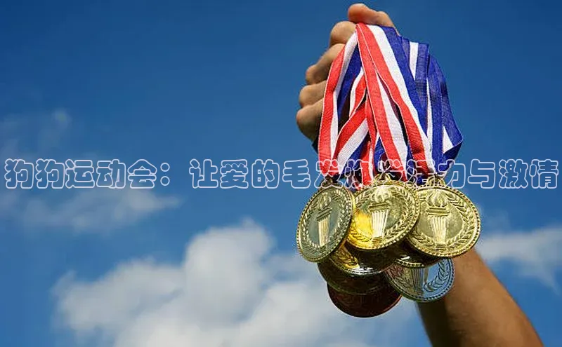 狗狗运动会：让爱的毛发焕发活力与激情