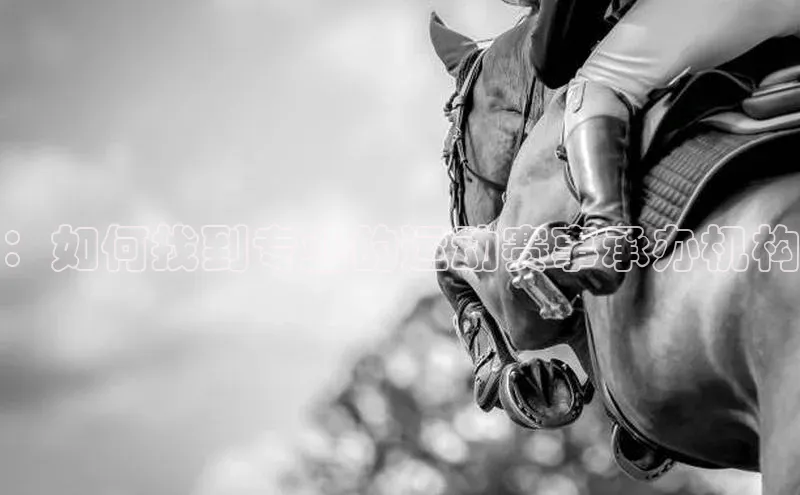 ：如何找到专业的运动赛事承办机构