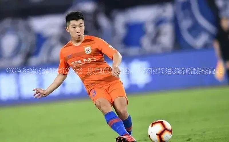 星欧娱乐平台官网入口