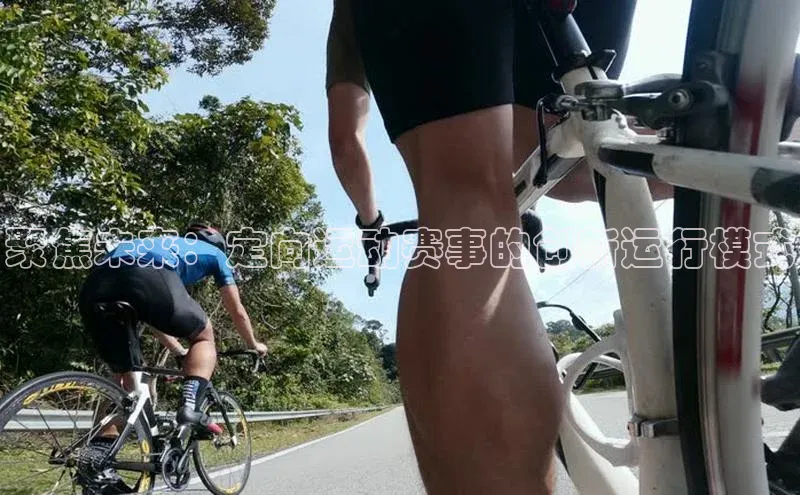 星欧平台官方网站入口