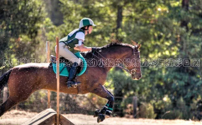 星欧平台个人登录入口