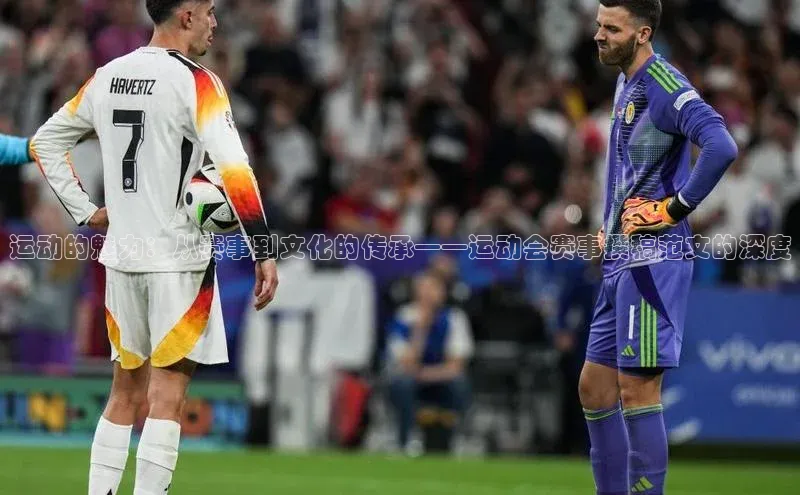 星欧账号登录入口