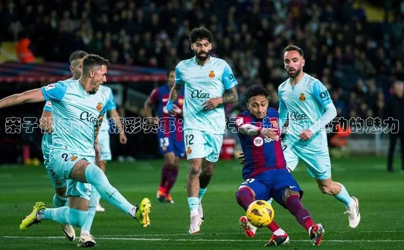 亲子视角下的精彩赛事：与孩子一起感受运动的魅力