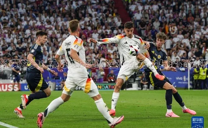 星欧官方网站登录入口